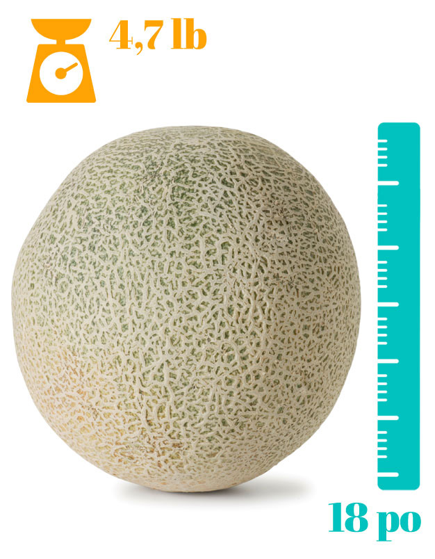 Enceinte semaine 34