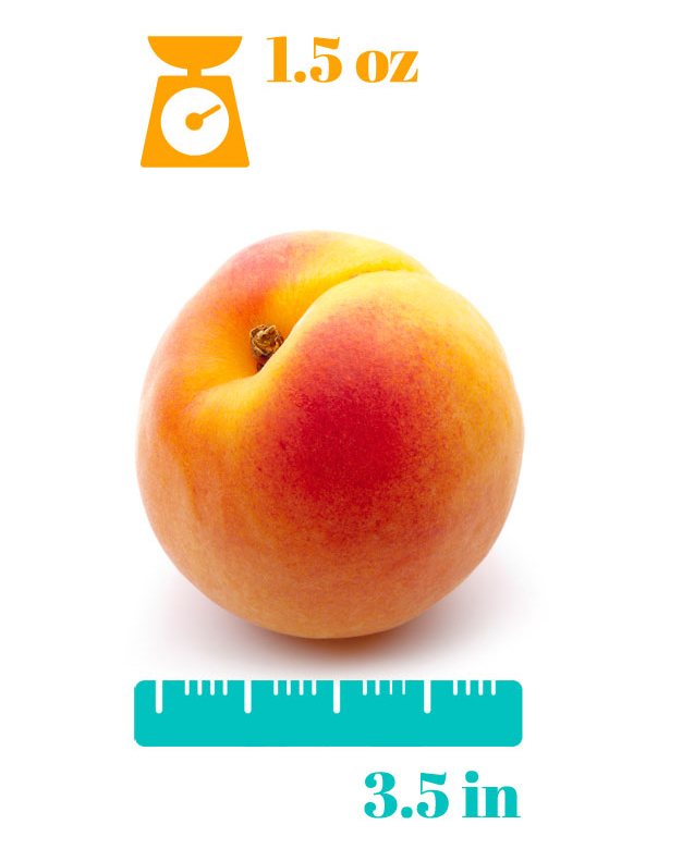 Pregnancy week 14