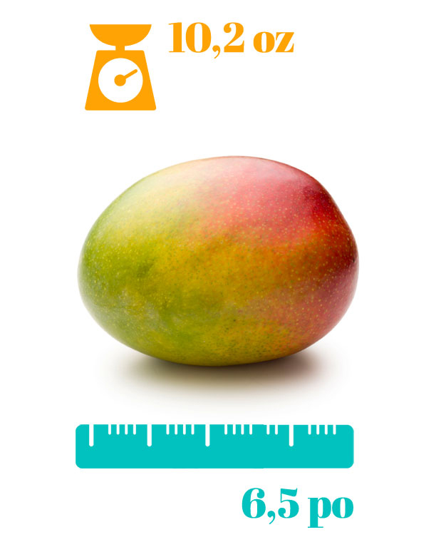 Enceinte semaine 20