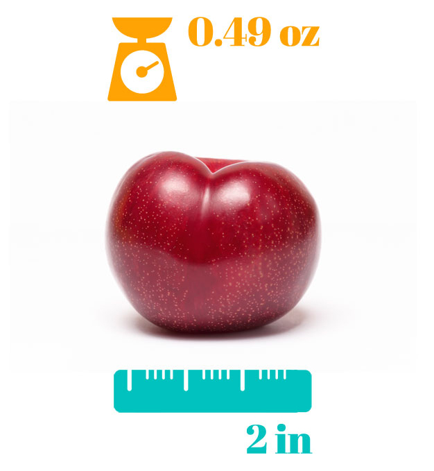 Pregnancy week 12